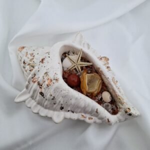 Grand coquillage décoratif énergétique en plâtre avec cristaux et coquillages