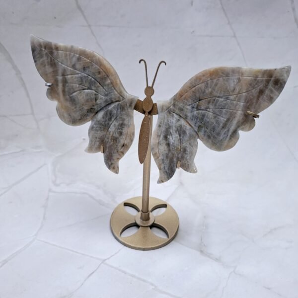 Papillon pierre de Lune belomorite – Image 2